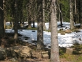 2009-04-13 14.45.10